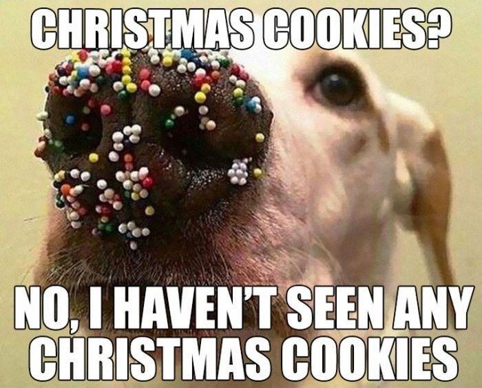 18 Christmas Memes Christian 1