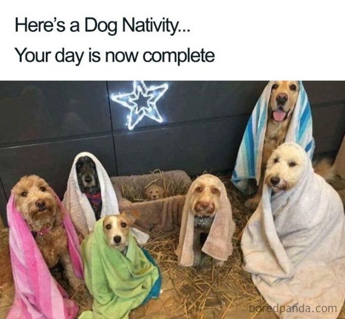 19 Christmas Memes The Office 8