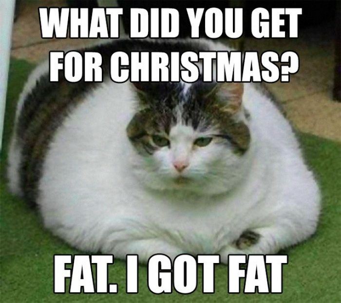 20 Christmas Memes Humor 10