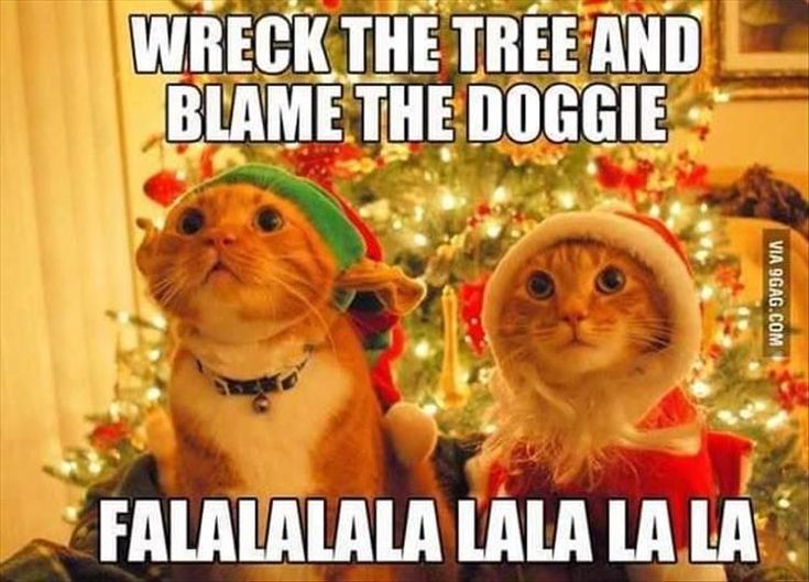 20 Christmas Memes Humor 18