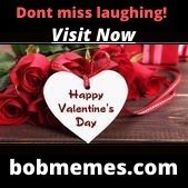 20 Valentines Day Memes Beautiful 11