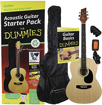 Guitar For Dummies Acoustic Guitar Kit