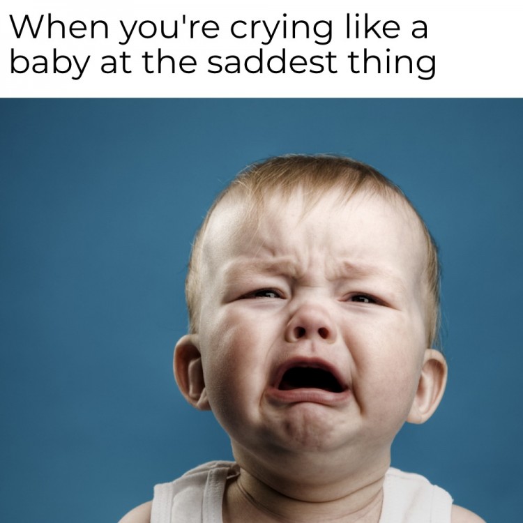 Cute Crying Meme 17