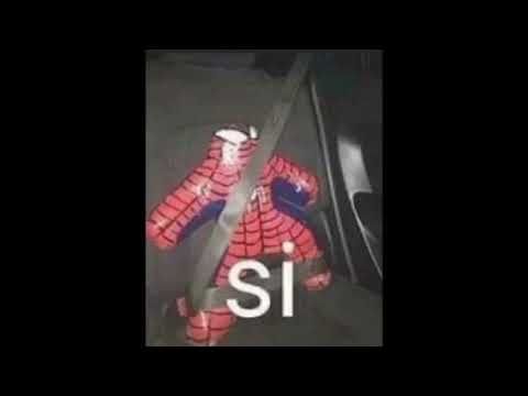 Spiderman Meme abd9c8cd11b6bff3899c8e6f04f98715