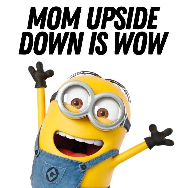 minion memes for moms 4